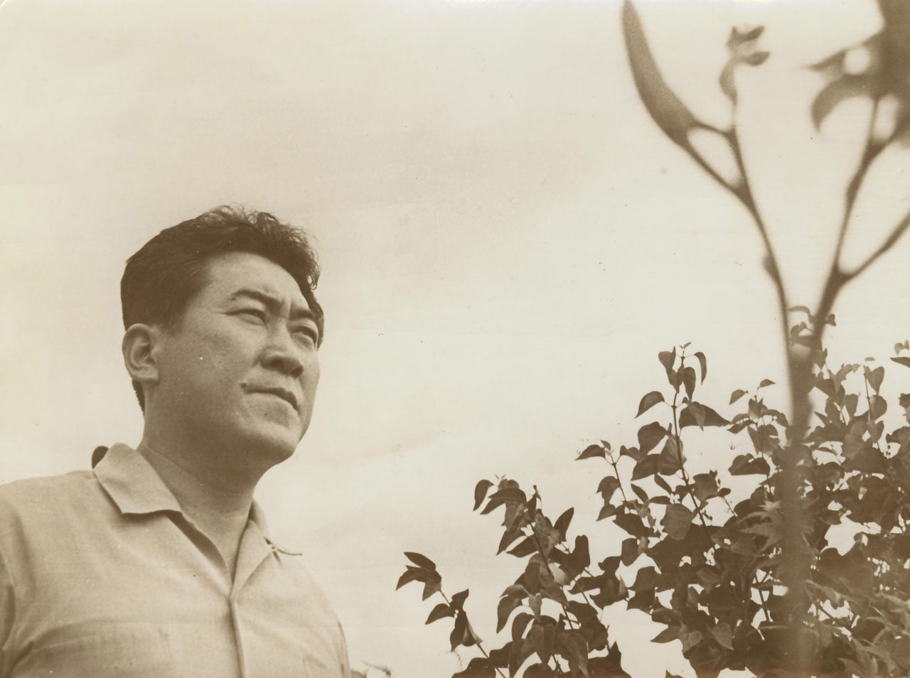 불연